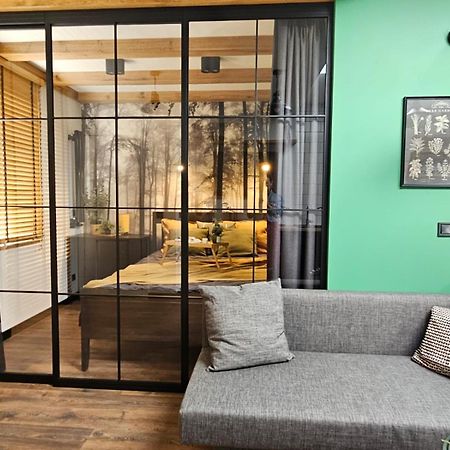 Cracovia Luxury Bright Apartment Great Location Sauna Εξωτερικό φωτογραφία
