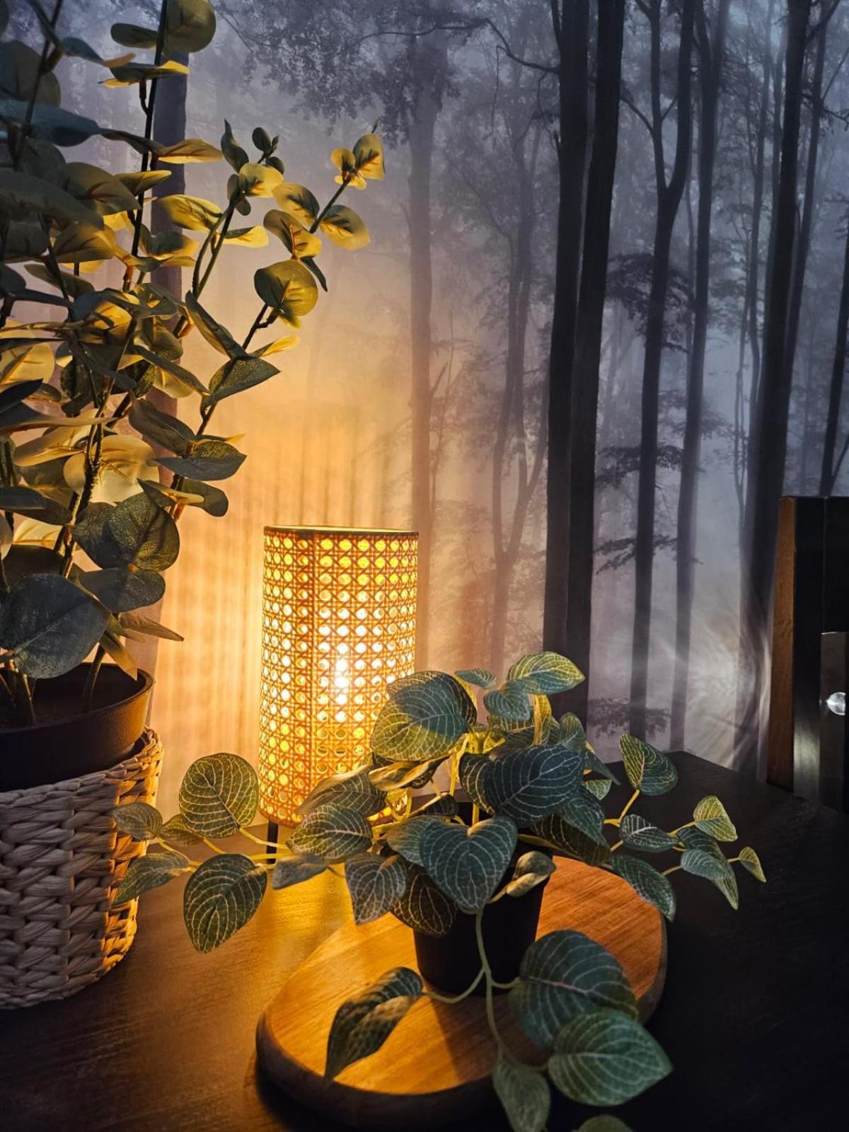 Cracovia Luxury Bright Apartment Great Location Sauna Εξωτερικό φωτογραφία
